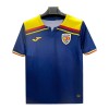 Original Fußballtrikot Rumänien Ausweichtrikot 2025 Für Herren